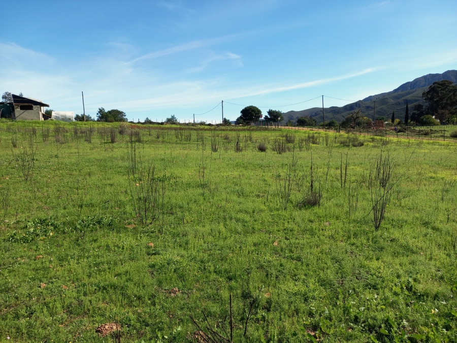 Commercial Property for Sale in Haarlem Western Cape